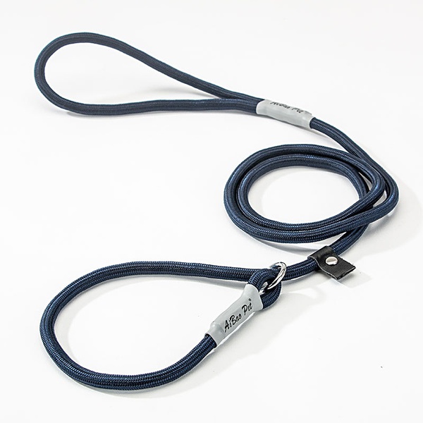Nylon P Leash Lead for Dog
